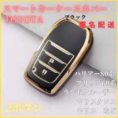 Item thumbnail for item 6349d953-f02f-4420-be71-4325597a5c3d