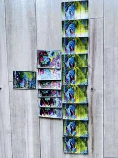 ポケモンカード 16枚セット