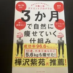 3か月で自然に痩せていく仕組み : 意志力ゼロで体が変わる!3勤1休ダイエット…