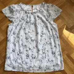 Item thumbnail for item 873717f6-fa1d-43c1-b5a4-9c871e51694f