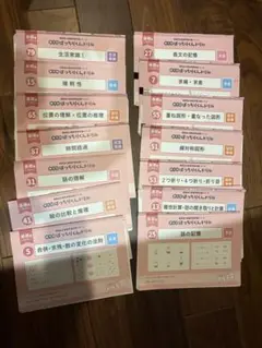 ばっちりくん基礎編13冊セット