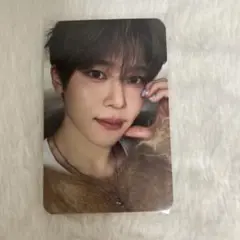 シオン　nct wish トレカ　封入