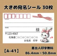 【A-41】宛名シール30枚/サンキュー/ケア/ほんのきもち/差出人/配達員