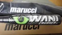 Item thumbnail for item 44fb1a6c-a011-4633-b1a5-c7a4d8e41e02