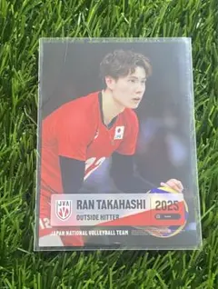 高橋藍 バレーボール男子日本代表2025