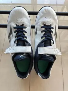 Item thumbnail for item 420efa24-8d89-4dbb-8413-15d7bea6b31e