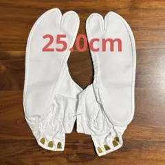 Item thumbnail for item d4a2cb87-3e42-4ce4-ad21-b15eb78d382f