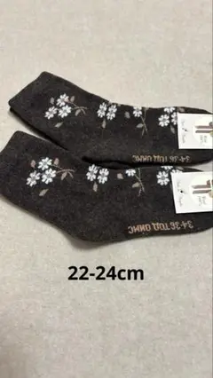 Item thumbnail for item 2f3a597a-a45c-4a59-8e95-e4d51d306495