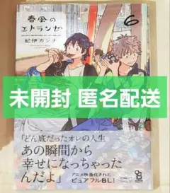 【新品】春風のエトランゼ 6　紀伊カンナ　シュリンク未開封　匿名配送
