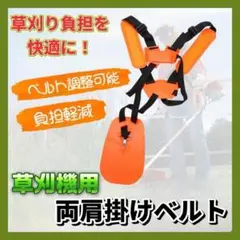 Item thumbnail for item 4c1192a9-5208-47d8-af6e-25153df01329