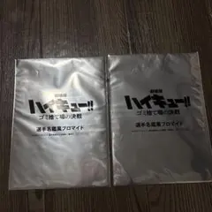 劇場版 ハイキュー!! 選手名鑑風ブロマイド 2枚セット