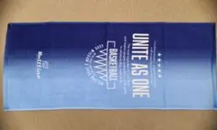 オンザコートタオル(ロイヤル)34×84cm