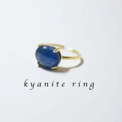 Item thumbnail for item b61fcf0e-ff85-410c-9e99-c941e3aca153