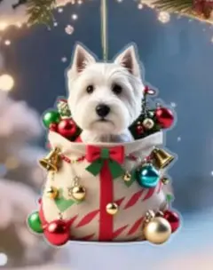 Item thumbnail for item a5d59b78-4c8c-4d0f-87de-e4b134e48b2d