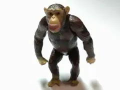 チンパンジー　フィギュア