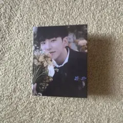 SEVENTEEN FML carat盤　ホシ