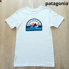 【美品】patagonia オーガニックコットン グラフィック Tシャツ XS