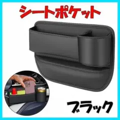 Item thumbnail for item 691a3ef3-4213-4316-9c91-8e7ec57a0785