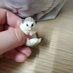 ハリネズミ リング　指輪　CLiNG