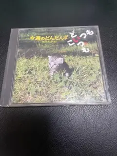 土曜ワラッター！ どんだんず25周年記念盤 CDセット 土曜ワラッター！ どんだんず25周年記念盤 CDセット - メルカリ