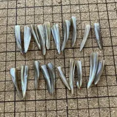 シェルパーツ　横穴素材　20個セット
