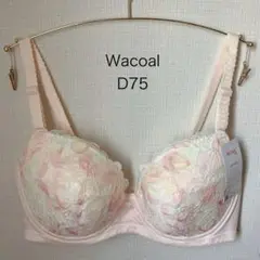 Wacoal ナチュラルフィットブラ　D75