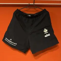 Item thumbnail for item ecde43f7-ef5e-4138-896b-d799f9679aef