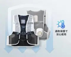 Item thumbnail for item 2f17ccbb-ff26-41d1-b90d-30c9a49ab925