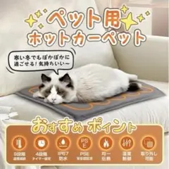 Item thumbnail for item 5c63c174-c598-4846-b6e0-31d8dbd3c665