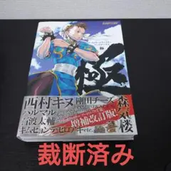 ストリートファイター アートワークス 極 ストリートファイターアートワークス極 (カプコンオフィシャル