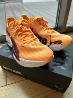 Item thumbnail for item 588c18db-7cff-4e49-87f5-cbca7c3e0275