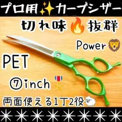 Item thumbnail for item 738d08cb-c3c7-45a5-92af-95e2c1a6ca83