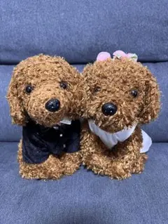 ウェルカムドール ウェルカムスペース 結婚式 ウエディング トイプードル