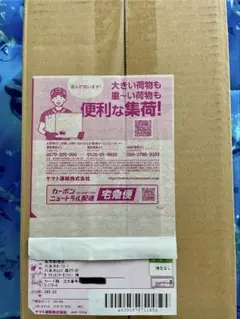 【本日発送可】ポケモンカードゲーム スペシャルBOX ポケモンセンタートウホク