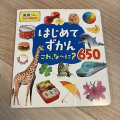はじめてずかん 650