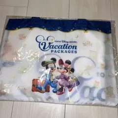 ディズニーバケーションパッケージ　マルチガーゼケット
