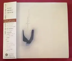 David Sylvian ナイン・ホーセス　nine horses