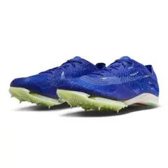 Item thumbnail for item 9599b2f3-0f0f-46a7-b0c9-a226e4e28b7a