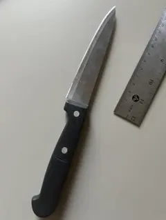 ステンレス ぺティナイフ 刃渡 約12cm