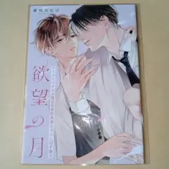 欲望の月　藤咲ねねば　コミコミスタジオ有償特典小冊子のみ