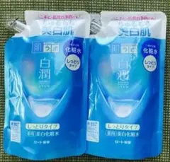 Item thumbnail for item 73ae428f-29c2-4ff5-b61a-fca99150a89a
