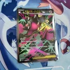 メガクチートex SR