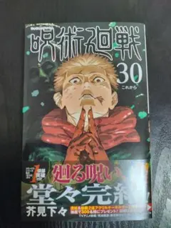 呪術廻戦 30巻