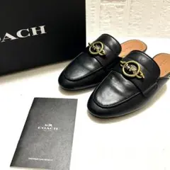 Item thumbnail for item 5b14879c-3825-44a1-a914-efb1c086b814