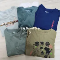 160cm 動物プリント Tシャツ 5枚セット