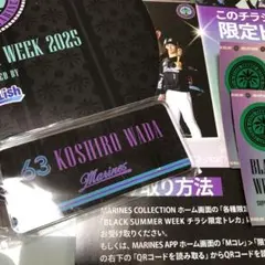 千葉ロッテマリーンズ 和田康士朗　キーホルダー　BSW ステッカー