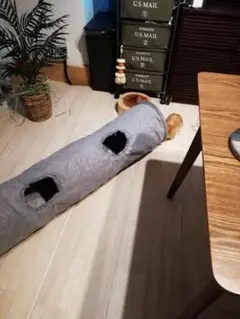 猫の遊び心と探索欲を満たす 遊び おもちゃ トンネル