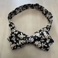 Item thumbnail for item c60f10d3-e27e-4010-9dc7-e3c5030027ac