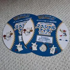 スペシャルナイター うちわ2枚