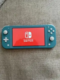 Nintendo Switch Lite ターコイズ　美品 スマブラカセット